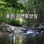 용현 자연휴양림 캠핑 (feat 초가을)