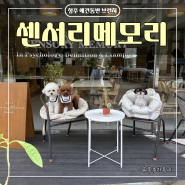 청주 강아지 동반 가경동 브런치 카페 | 센서리메모리