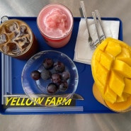 수완지구 생과일주스 커피도 맛있는 옐로우팜 Yellow Farm