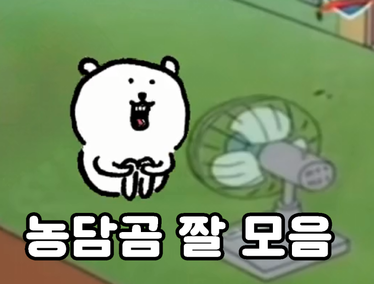 농담곰 짤 담곰이 직장인 짤 카톡 인스타 스토리 밈 웃긴 짤 모음 : 네이버 블로그