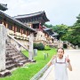 KTX 서울-신경주, 경주시티투어 세계문화유산투어코스를 이용한 당일치기 경주여행