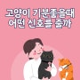 고양이 기분좋을때 어떤 신호를 줄까