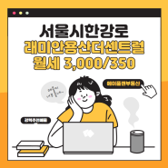 서울시 용산구 한강로2가 래미안용산더센트럴 오피스텔 월세 3,000/350 매물 정보 추천 드립니다~!