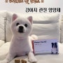 [페노비스 벳 조인트] 강아지 관절 영양제 (포메는 필수!!)