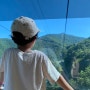 평창 아이와 가볼만한 곳 / 용평 리조트 발왕산 케이블카 / 스카이워크 / 천년주목숲길