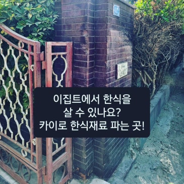 카이로 한식재료 파는 곳!