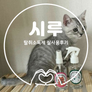 고양이 냄새탈취제 배변실수 그린펫 소취제 추천해요 I 시루 실사용후기