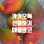 카카오톡 선물하기] 수플린 애플망고 과일 후기