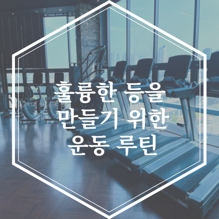 KakaoTalk_20230905_113350335.png?type=w2