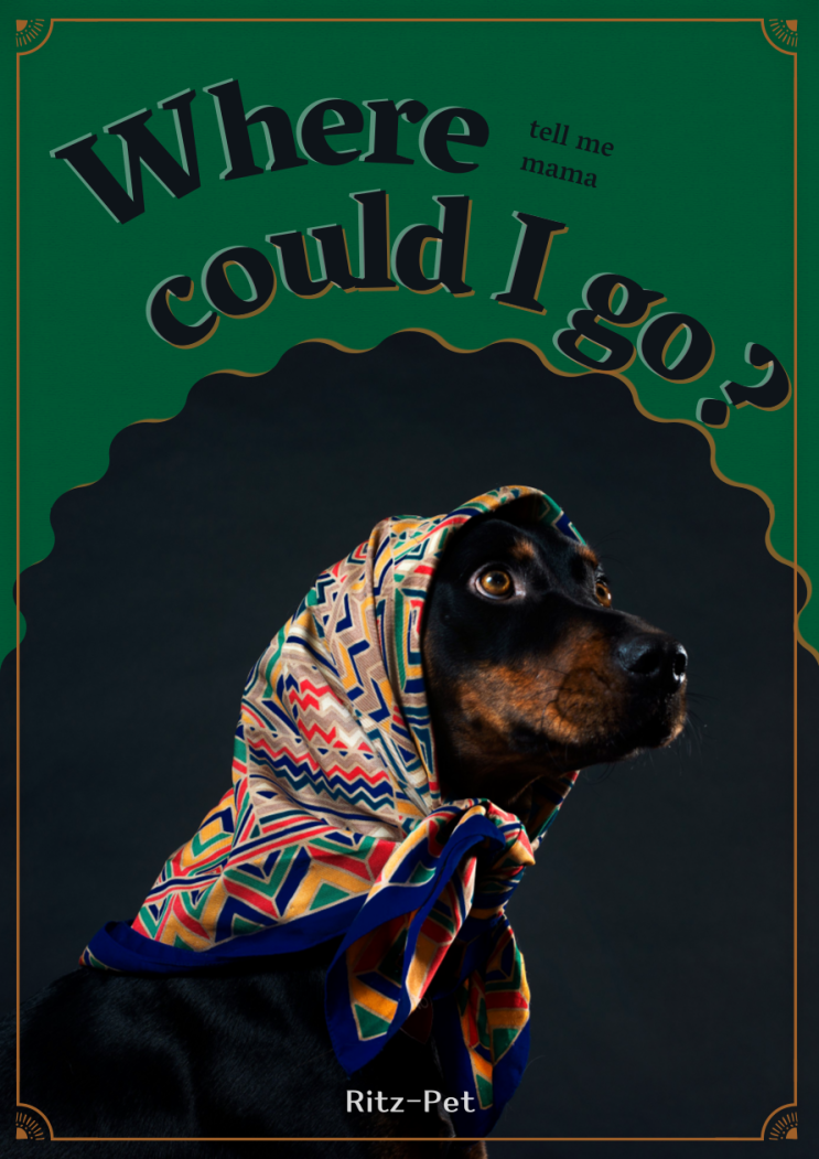 Where could I go , mama? Ritz Pet! : 네이버 블로그