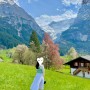 그린델발트 셀프스냅 / 쿱에서 장보고 퐁듀 만들어 먹기 : 스위스 5월 여행