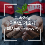 지속가능한 저탄소 플라스틱 가소제 "메자몰 (Mesamoll®)"