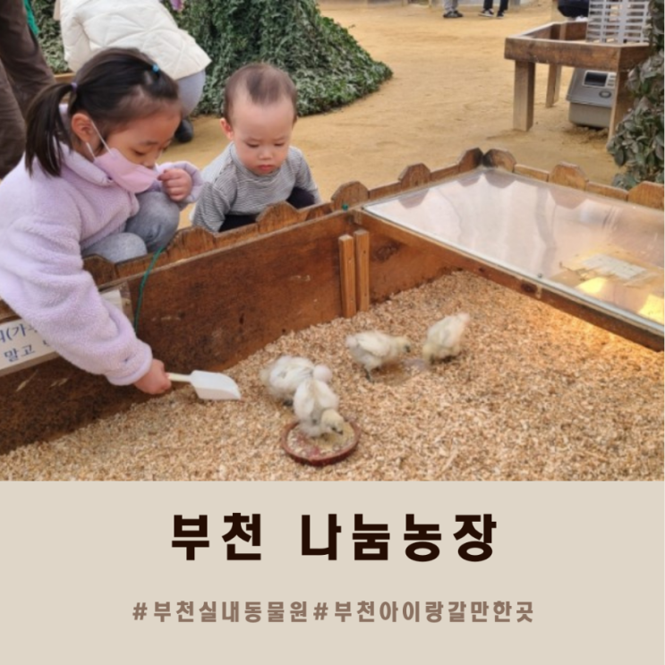 주말 아이랑 갈만한곳 :: 동물 먹이주기체험 [부천 나눔농장]