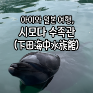 아이와 일본 바다 여행, 돌고래를 가까이서 보고 만지고 싶다면 시모다 수족관 두번째