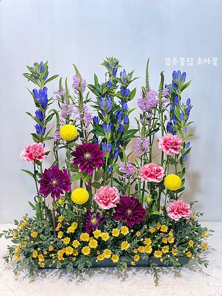 경주꽃꽂이, 행사용 수반 꽃꽂이, 달리아 꽃말은? 경주꽃집 초아꽃 : 네이버 블로그