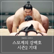 리키시 출연진 평점 시즌 2 가능성 주말 추천 드라마 넷플릭스