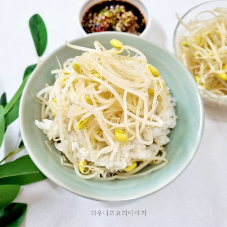 백종원 콩나물밥 간장 양념장 만들기 나물밥 압력밥솥 밥하는법 시간 밥물 뜨거운 물 사용법? : 네이버 블로그