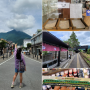 일본후쿠오카여행(7)_온천마을 유후인 여행 정보, 유후인역 족욕 자전거 대여 유후인 마트 벤또 유후인 선물가게