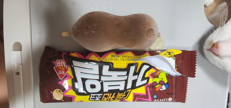 추억의 거북알 아이스크림 먹기 : 네이버 블로그