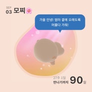 임신 24주~27주 기록: 중기증상, 임당검사, 제주모녀여행 예약