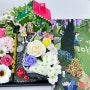 의정부 양주 사회복지관 돌봄센터 그림책원예 독서랑원예랑 비누꽃 정원꾸미기