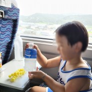 스플라스 리솜 37개월 아이랑 기차 타고 2박 3일 여름휴가(스테이타워 룸 컨디션, 아기용품 대여)