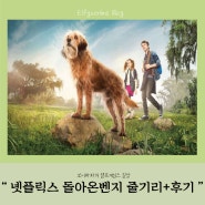 영화) 넷플릭스 강아지영화, 돌아온벤지 줄거리+평점+정보 결말후기