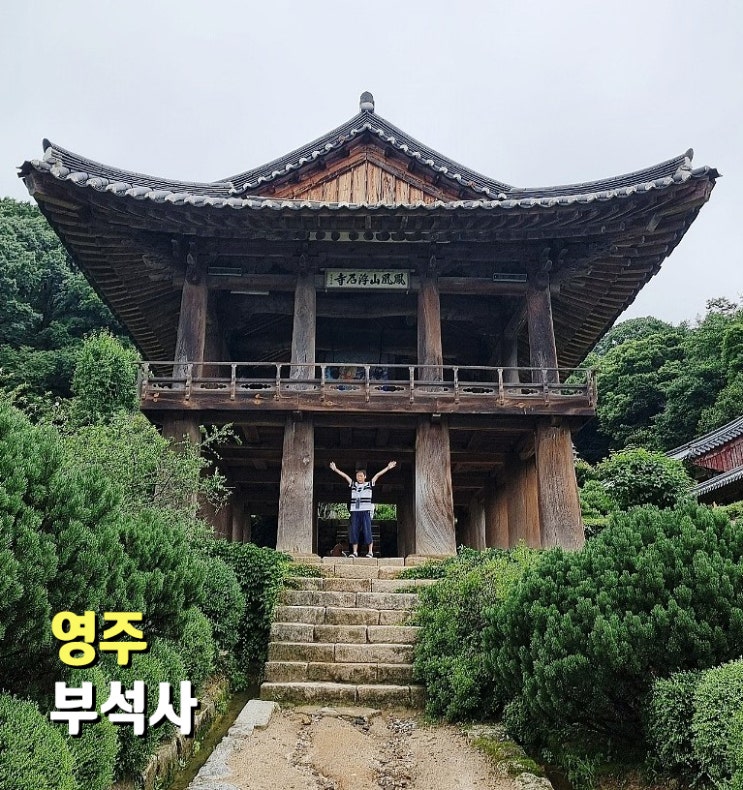 영주 부석사 입장료 및 아름다운 무량수전 풍경 : 네이버 블로그