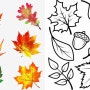 가을 나뭇잎 나무 도토리 수채화 컬러링 밑그림스케치 그림자료 Autumn leaves tree watercolor coloring painting material