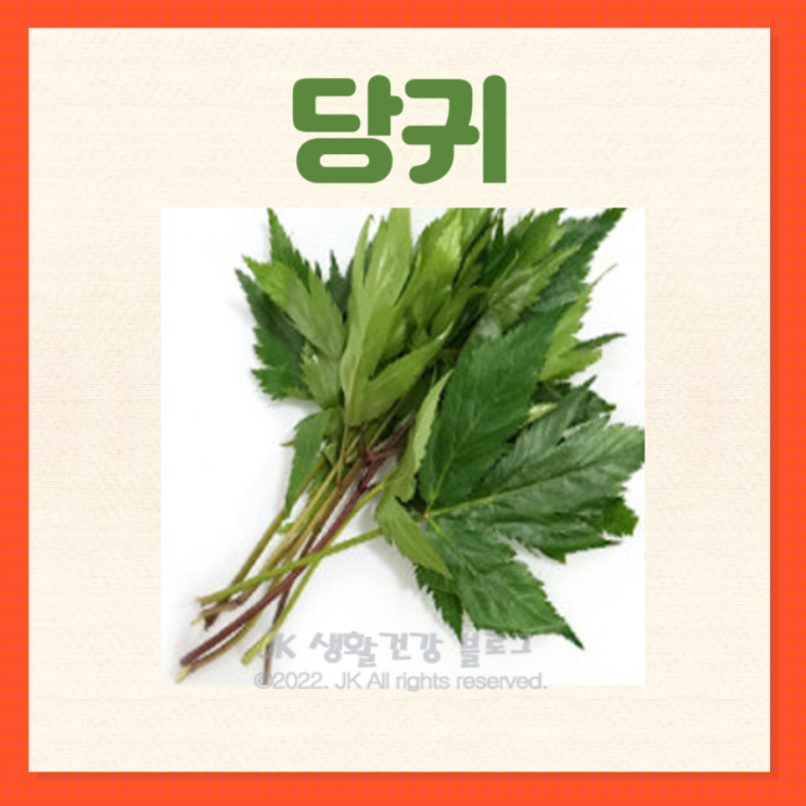 당귀효능 당귀잎 당귀차 효능 및 당귀 부작용 : 네이버 블로그