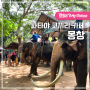 태국 여행지 추천 파타야 코끼리 카페 몽창 파타야 동물원 코끼리쇼