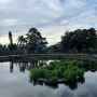 호주 멜버른 로얄 보태닉 가든, 이국적인 분위기의 왕립 식물원