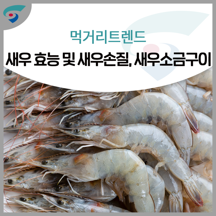 새우 효능 및 새우 손질, 새우 소금구이 하는 법 : 네이버 블로그