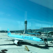 중국 칭다오 여행 첫째날 인천국제공항 점심식사 손수헌, 대한항공