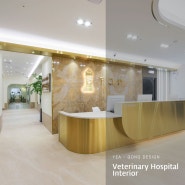 고급스러운 디자인의 동물의료센터 리모델링 사례 : 시흥탑 동물병원
