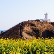 제주도사진