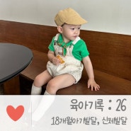 육아기록 : 18개월 아기 발달, 신체발달 아기ootd