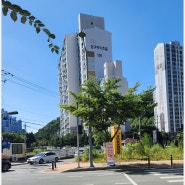 대구 고산 3동 고인돌 문화축제 다녀왔어요