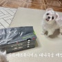 데콤포 마이페츠유니버스 배변패드 대나무숯 강아지배변패드 후기