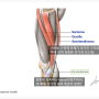 무릎 내측 국소부위 통증 원인들