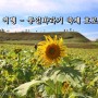 연천 여행 - 제8회 연천장남 통일바라기 축제