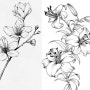 퀄리티높은 꽃그림 도안 나리꽃 백합 스케치 밑그림 컬러링 미술자료 Flower Drawing Sketch