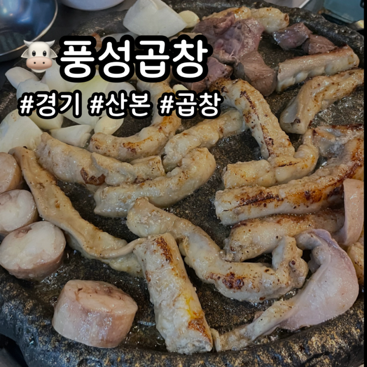 [풍성곱창] 산본 오래된 곱창 찐맛집(ft.소, 돼지) : 네이버 블로그