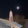아빠랑 베이징여행! 야경이 아름다운 고북수진과 사마대장성