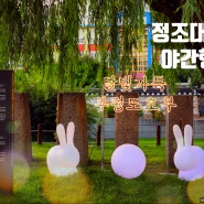 달빛가득 부평도호부-정조대왕의 야간행차, 2023 생생문화재 야간 문화행사