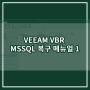 VEEAM VBR MSSQL 복구 메뉴얼1