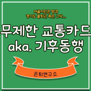 서울 무제한 교통카드 (버스,지하철,따릉이) ft. 기후동행카드 / 경기도