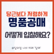 세관공매 입찰자격 방법 주의사항(ft. 당근보다 명품 싸게사기)