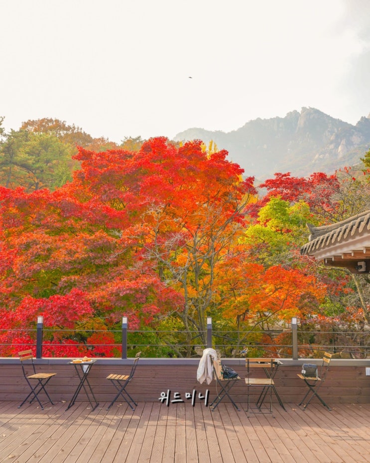 [북한산/우이동/강북구 카페] 10월말 꼭 가야하는 단풍뷰 카페 한옥카페 “선운각”, “옥류헌 릴렉스”, “카페 산아래 ...
