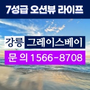 강릉그레이스베이 신축 민간임대아파트 분양정보